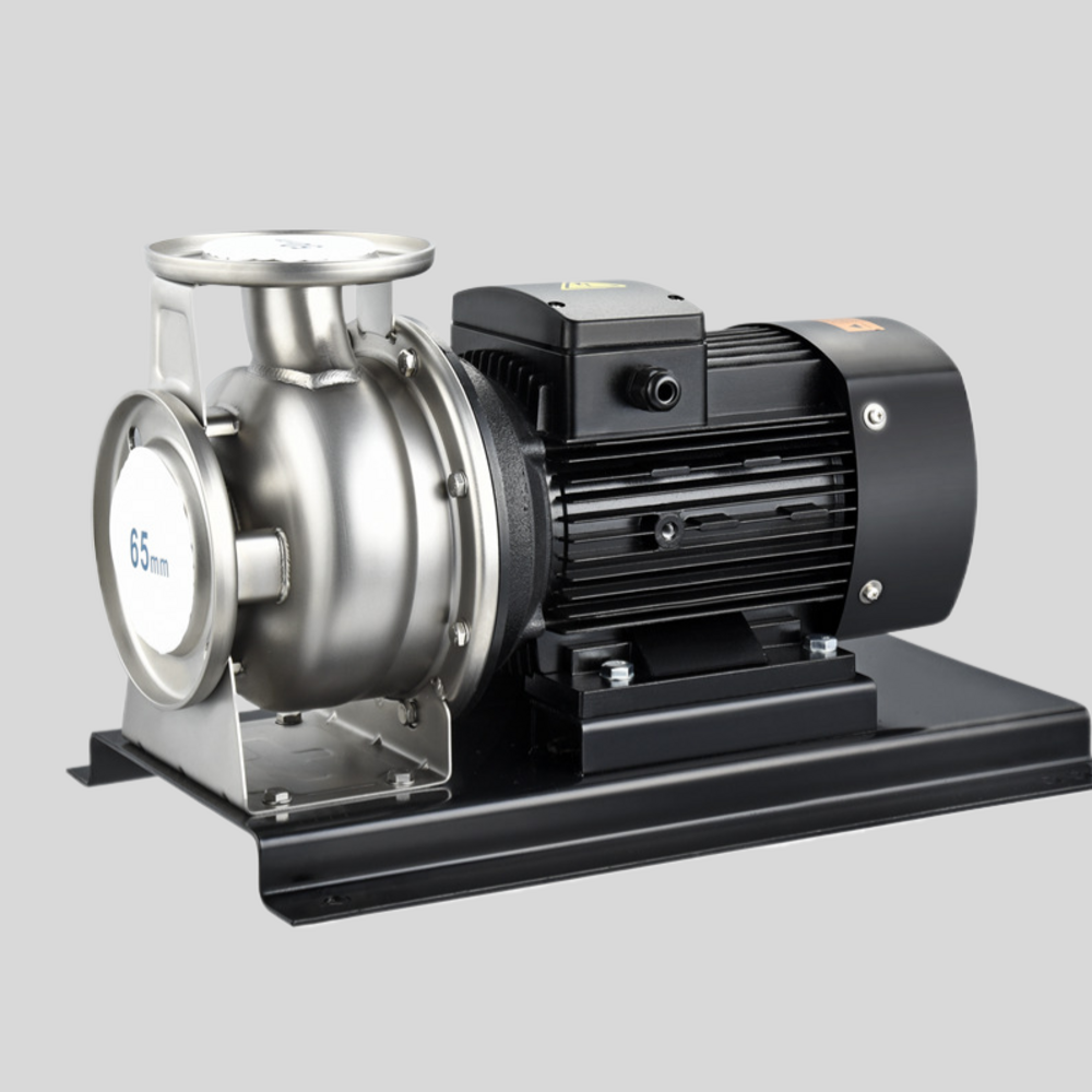 DSTL 100 Stainless Steel Standard Centrifugal Pump